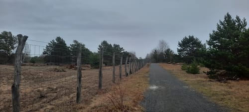 Schönower Heide: Wildwanderweg