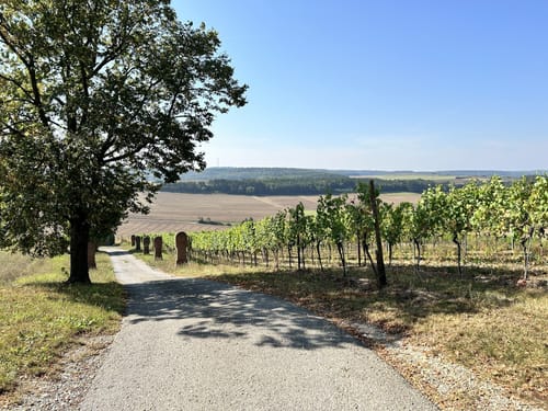 Rundwanderweg 1250 Jahre Uissigheim