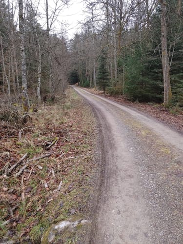 Waldachtaler Wellnessweg, Gesundheitsweg Nr. 1