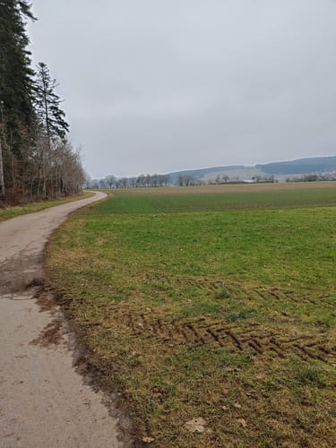 Waldachtaler Wellnessweg, Gesundheitsweg Nr. 1