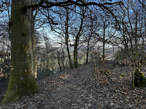 Auf der Spur des Drachen: Rundwanderweg Drachenfels