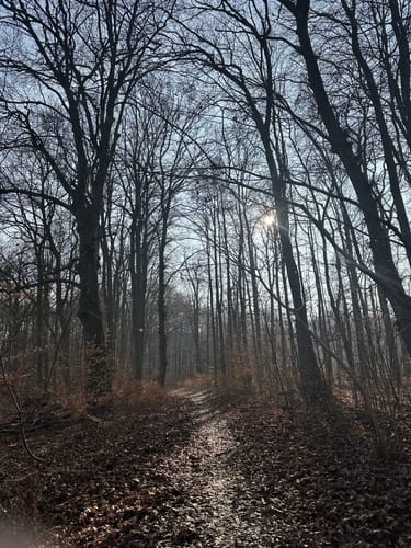 Spur der Zaubersteine