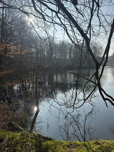 Spur der Zaubersteine