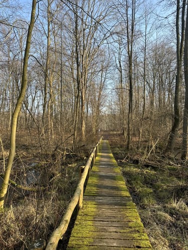 Spur der Zaubersteine