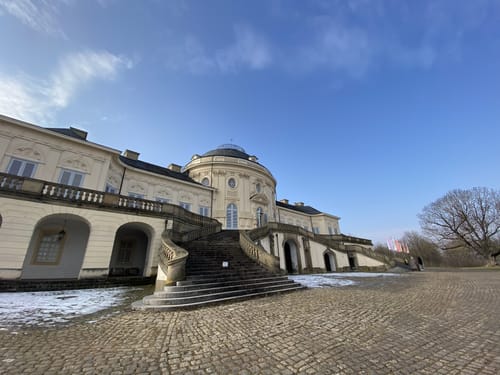 Schloss Solitude - Rotwildpark