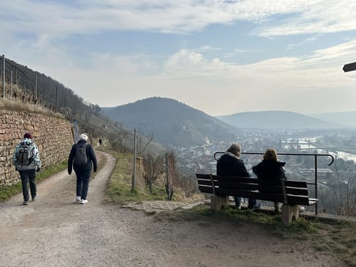 Fränkischer Rotwein Wanderweg Etappe 4: Erlenbach - Klingenberg