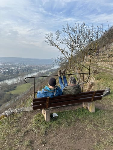 Fränkischer Rotwein Wanderweg Etappe 4: Erlenbach - Klingenberg