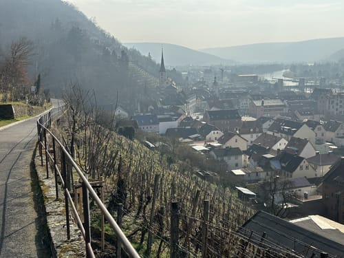 Fränkischer Rotwein Wanderweg Etappe 4: Erlenbach - Klingenberg