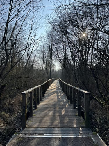 Stellmoor-Ahrensburger Tunneltal - Höltigbaum