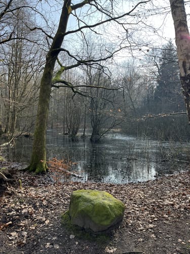 Stellmoor-Ahrensburger Tunneltal - Höltigbaum