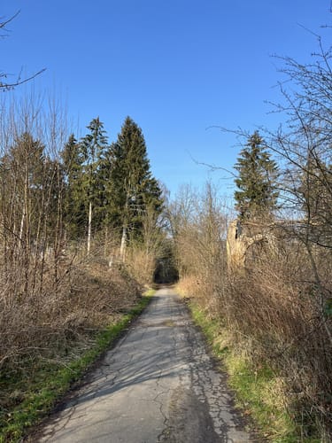 Stellmoor-Ahrensburger Tunneltal - Höltigbaum