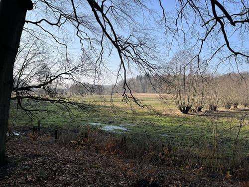 Stellmoor-Ahrensburger Tunneltal - Höltigbaum
