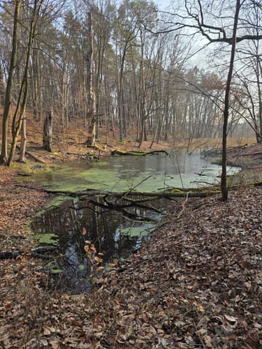 Im Biesenthaler Becken um den Hellsee