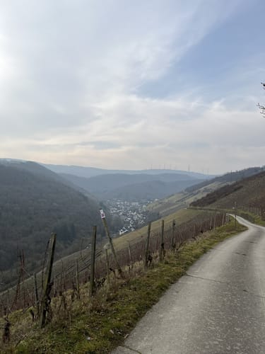 RheinBurgenWeg Etappe 12: Bacharach - Trechtingshausen