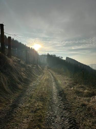 Endorf Rundweg E2: Hohe Liete