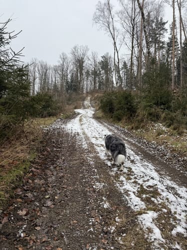 Rundweg Mittlere Gartenkuppe - Hintere Gartenkuppe