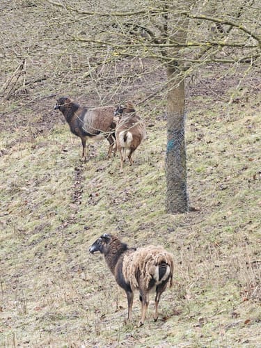 TOP-Wanderweg Erlebnis Iberg