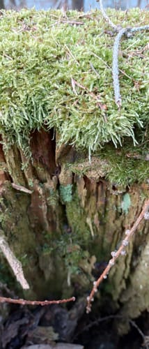 Waldhotel am Stausee - Hohenwarte - Klinkhardtshöhe