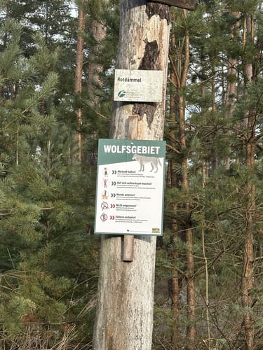 Durch den Manteler Forst