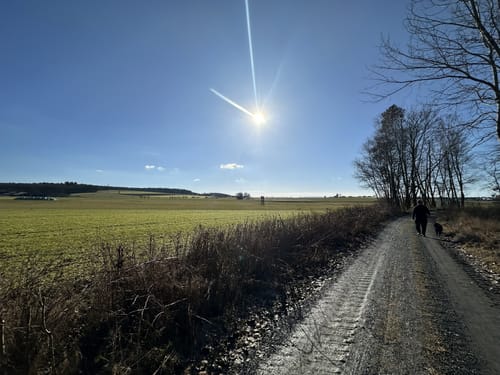 Durch den Manteler Forst