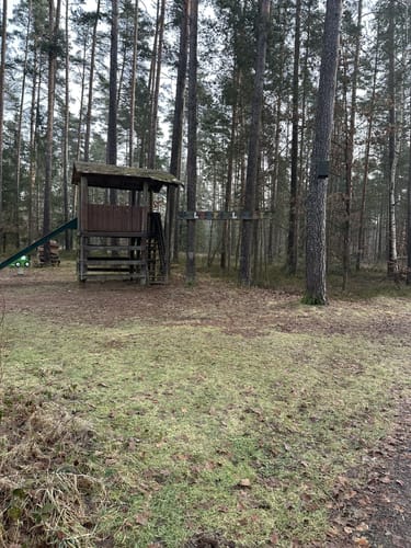 Durch den Manteler Forst