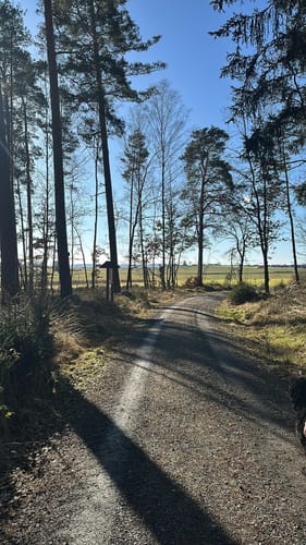 Durch den Manteler Forst