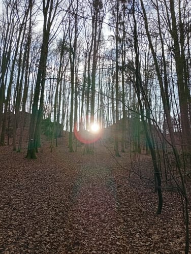 Hiltpoltstein Gelbring
