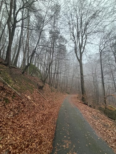 Durchs Kandeltal bei Kindsbach
