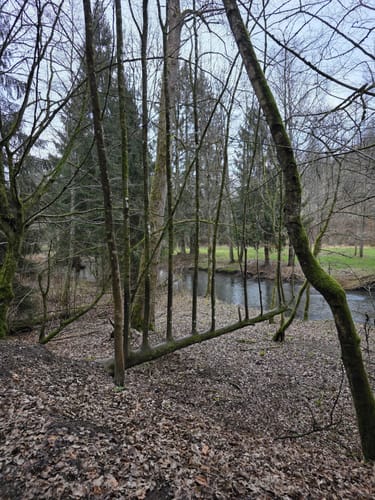Große Nister Dreieck