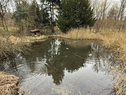 Düsseldorf Grafenberg: A3 Wildparkweg