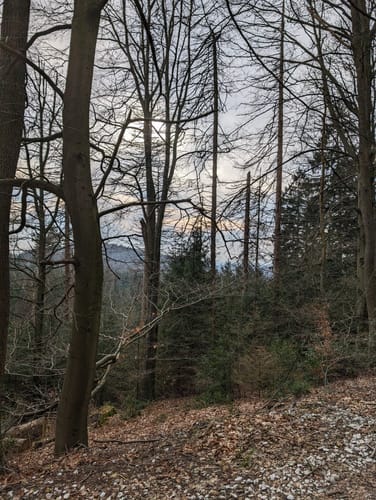 Tönsbergblicke