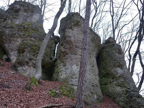 Naturlehrpfad Hiltpoltstein (Rotring)