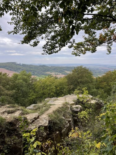 Um Bärenpark Worbis und Burg Bodenstein