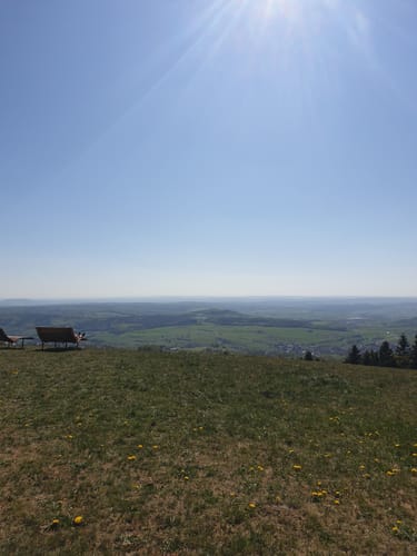 Waldfenster (Extratour)