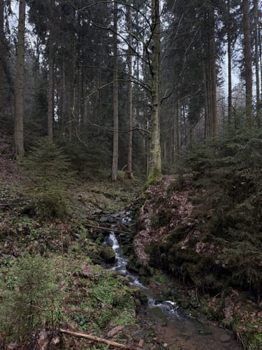 Lochbachpfad (Extratour)
