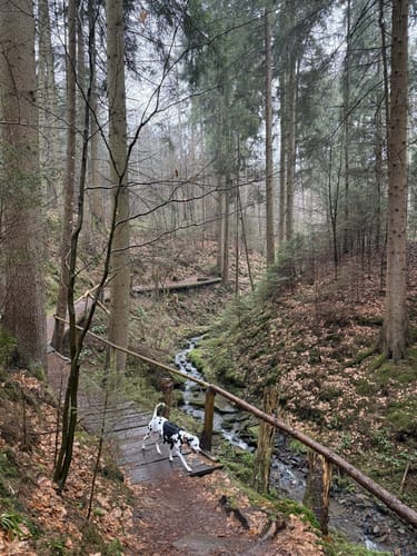 Lochbachpfad (Extratour)