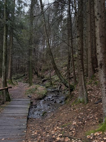 Lochbachpfad (Extratour)