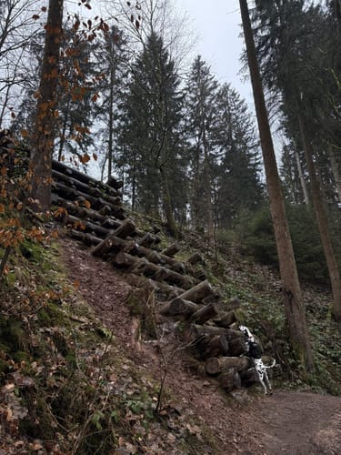 Lochbachpfad (Extratour)