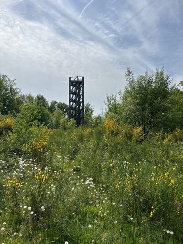 Knollen ab Bergneustadt