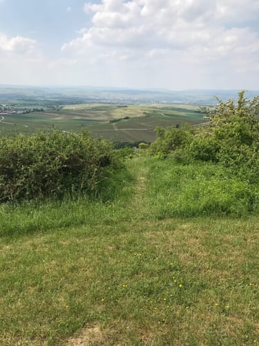 Durch die Rheinhessische Toscana