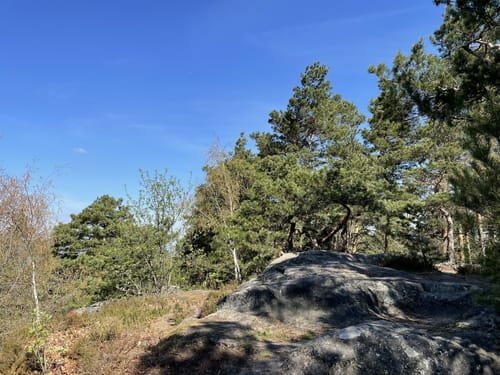 Jagdstein ab Bad Gottleuba