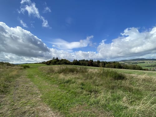 Virne-Burgweg (Traumpfad)