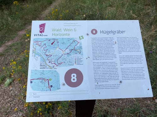 Wald, Wein & Horizonte (Premiumwanderweg)