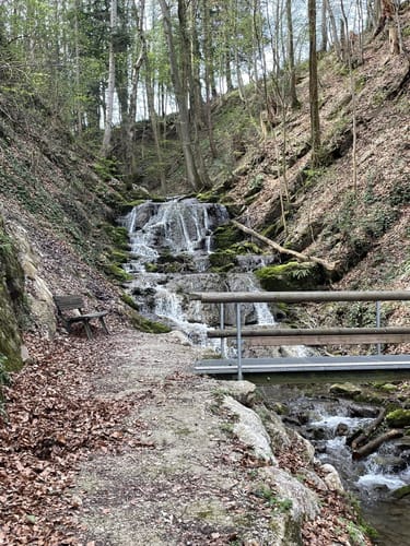 Wald-Lehrpfad Teisendorf