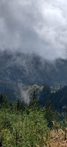 Stallauer Eck - Stallauer Kopf - Angerlkopf - Enzenauer Kopf