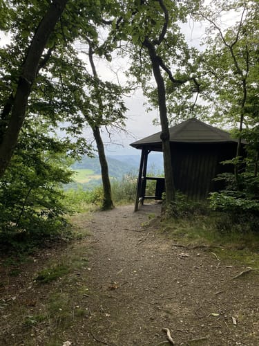 Rundwanderweg N4 (Niederbreitbach)