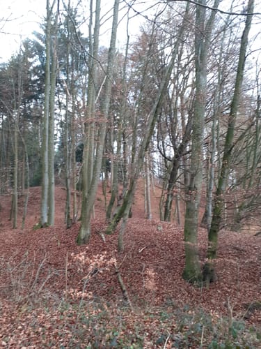 Rund um den Hofberg
