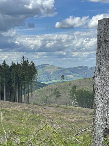 Rothaarsteig Etappe 4: Schanze - Rhein-Weser-Turm