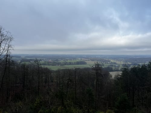Quellweg (Steinhagen)