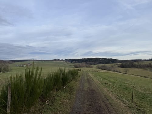 Butzel-Kewes-Weg (Traumschleifchen)